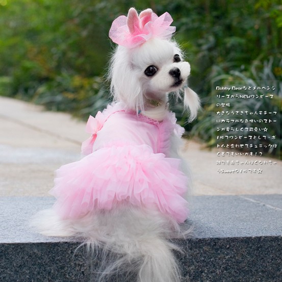 韓國設計師--吊帶公主芭蕾裙 寵物連衣裙泰迪衣服