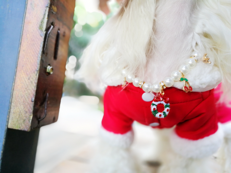 雙十二上架款新年聖誕限量款狗鈴鐺寵物項鏈飾品狗狗貓咪泰迪